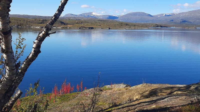 f-rsamlingsresa-till-abisko-2022-jukkasj-rvi-f-rsamling